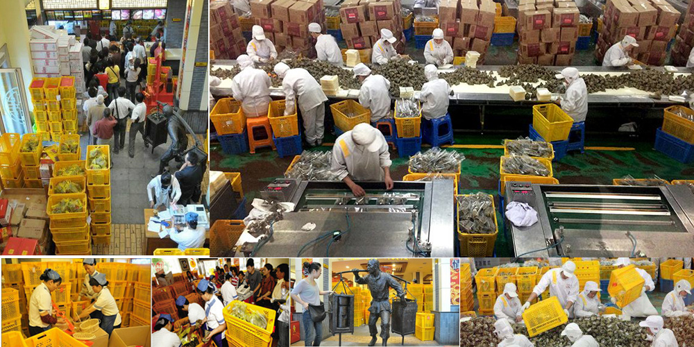 富事达为嘉兴五芳斋集团提供粽子韦德online（中国）塑料周转箱